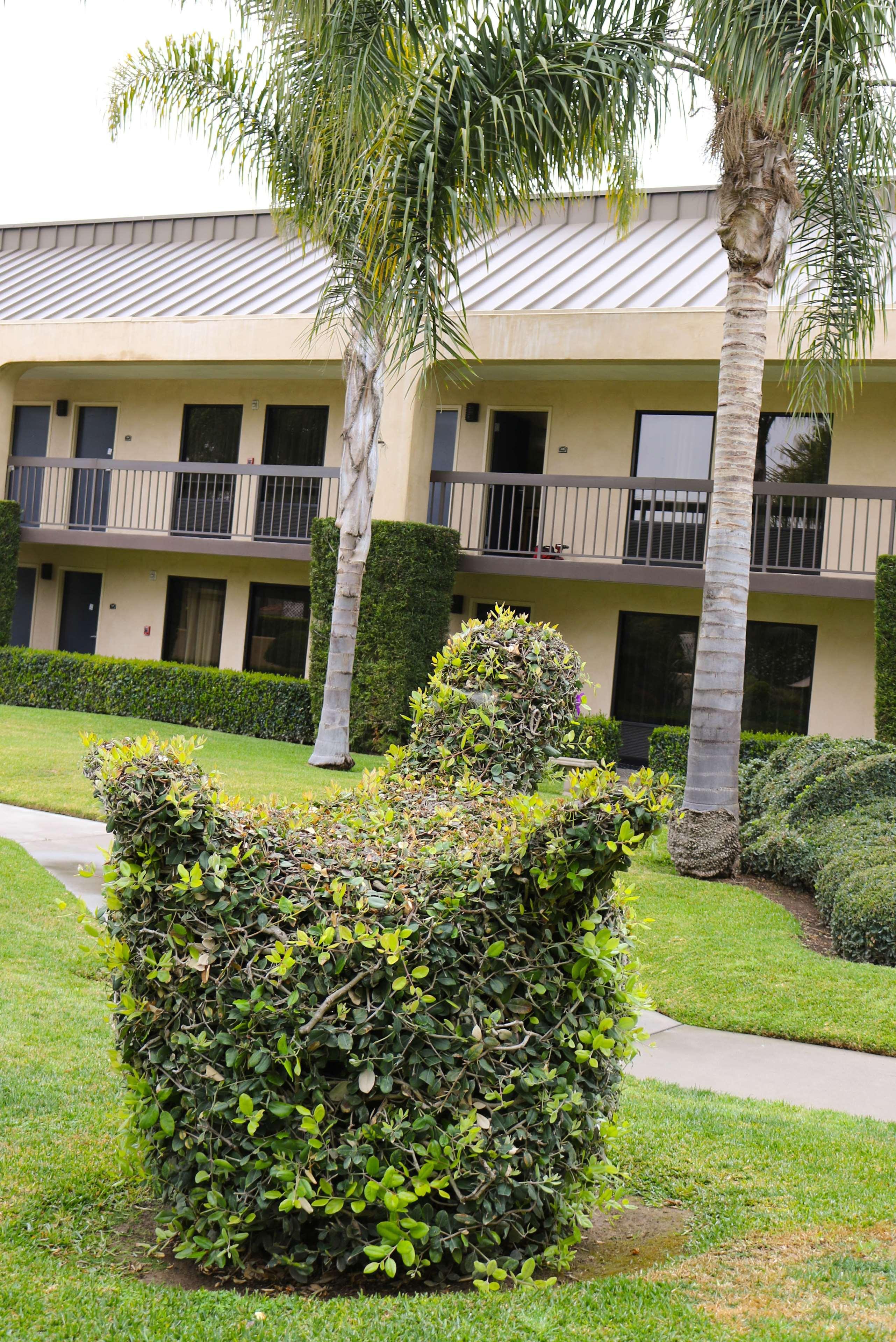Best Western Plus South Coast Inn Голета Экстерьер фото